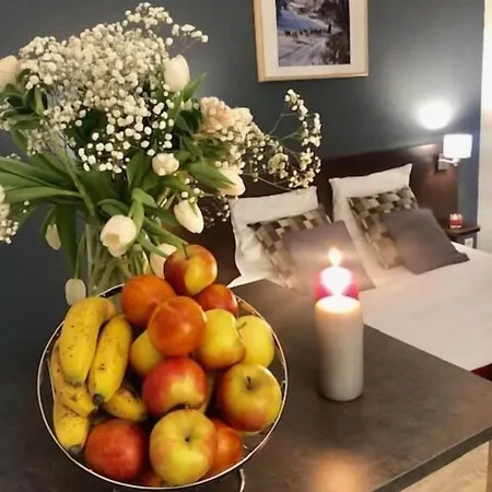 Aparthotel Appartea Alpexpo Grenoble