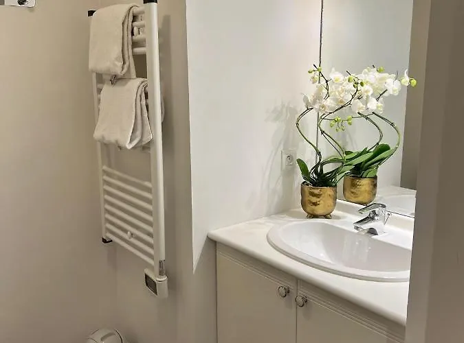 Appartea Alpexpo גרנובל